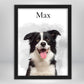 Cuadro Mascota Sin Fondo – Retrato con Foto y Nombre
